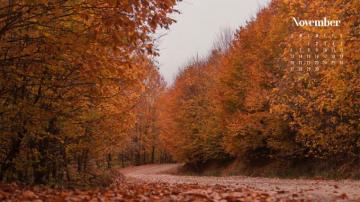 Autumn Trees And Leaves With November Calendar On Top Of It