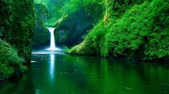 Beautiful Wallpaper Of Nature For Desktop Sf