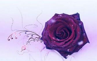 High Resolution Beautiful Rose Desktop Laptop Wallaper Listed In