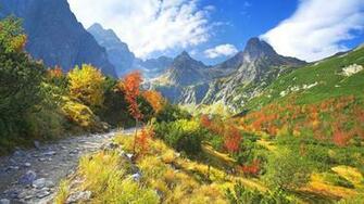 HD Wallpaper Nature For Desktop