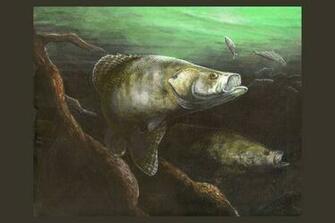 Best Crappie Fishing Rod And Reel Image Search Results