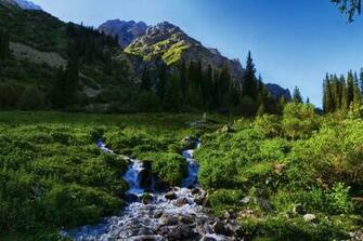 Mountains Scenery Kyrgyzstan Tian Shan Stream Grass Nature