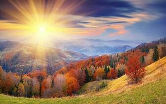 Autumn Forest Sunrise X Close