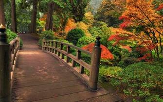 Bridges Garden Nature Landscapes Stream Plants Bush Trees Autumn Fall