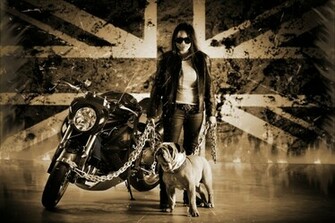 Vilner Bulldog A Custom Approach To The Triumph Speed Triple Video