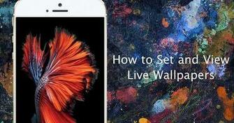 Set Live Wallpaper On iPhone 6s And Plus I Phone