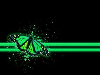 Green Butterfly Wallpaper