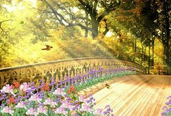 Relaxing Nature Animated Wallpaper Desktopanimated