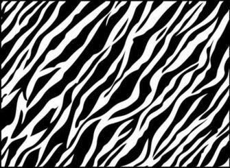 Zebra Wallpaper
