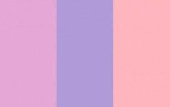 Orchid Light Pastel Purple And Pink Three Color Background
