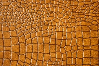 Black Snake Skin Wallpaper Picswallpaper