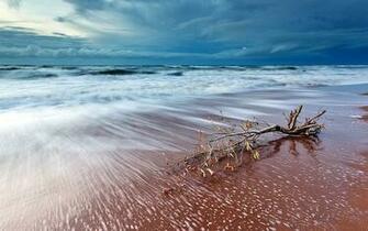 Stormy Sky Beach High Quality Picture Pictures