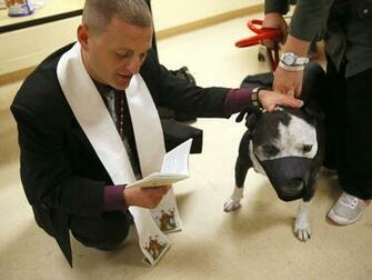 2nd Annual Blessing Of The Animals At Monmouth County Spca