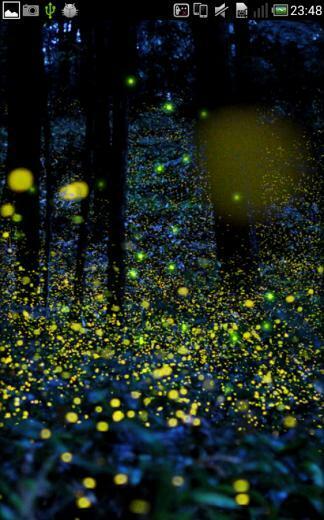 Firefly Live Wallpaper Android Apps On Google Play