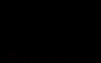 Black Dog Wallpaper S Dark Solid