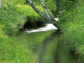 Summer Nature Scenes Wallpaper Scene