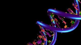 Wallpaper Structure Of Dna Black Upload At August