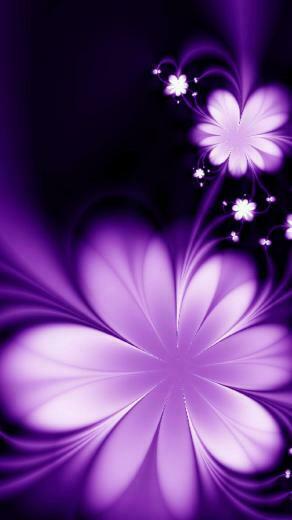 Beautiful Image Wallpaper Photo Pictures HD For Mobile