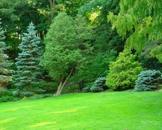 Wallpaper Size Rain Home Garden