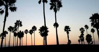 Venice Beach Wallpaper Desktop High Definitions