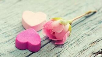 Wallpaper Valentine S Day February Hearts Flowers Love