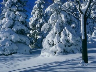 Winter Scene Christmas Wallpaper