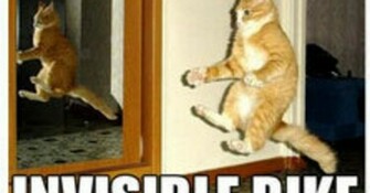 Lolcats Background Wallpaper