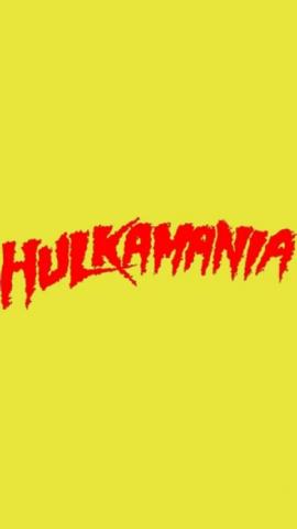 Hulk Hogan Professional Wrestling Superstars