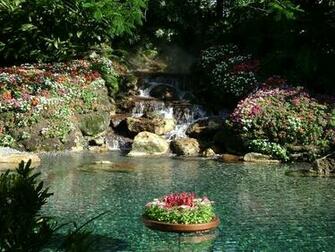 Anheuser Busch Gardens At Sea World Traveler Photo Contest