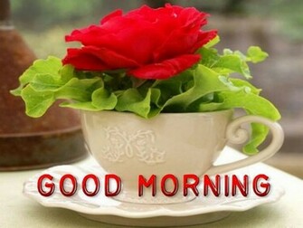 Good Morning My Love Quotes Wallpaper For Her