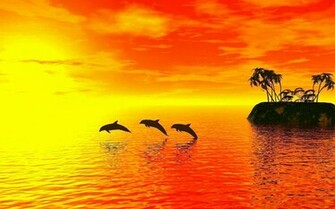 Fish Desktop Background Photo 803645d Jpg