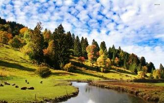 River Crossing The Meadow Wallpaper