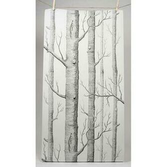 Trees In The Woods Wallpaper Cole Son
