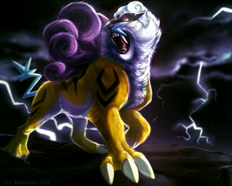 Raikou By Aerosocks