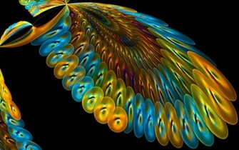 Bird Of Paradise By Anyzamarah Customization Wallpaper Fractals