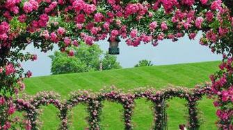 Flowers Landscape Garden Park New Nature Wallpaper HD