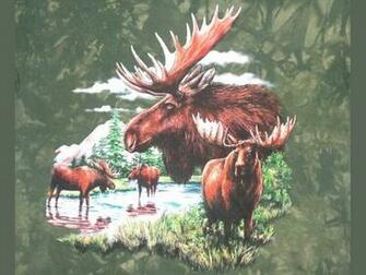 Moose Wallpaper