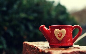 Love Best Wallpaper High Definition Quality