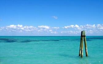 Wallpaper Top Best Rated Widescreen High Quality Artworks Pix