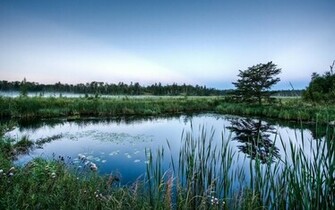 Beautiful Pond Wallpaper