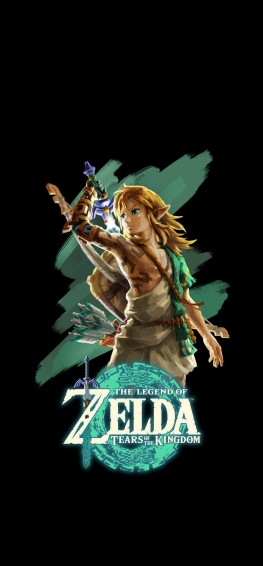 The Legend Of Zelda Tears Kingdom R
