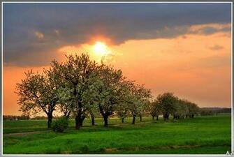 Spring Sunset Wallpaper