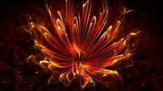 Fire Flowers Wallpaper HD Net