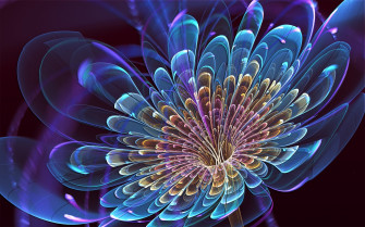 Flower Of Life Wallpaper