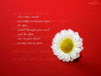 Flower Love Words Wallpaper Area