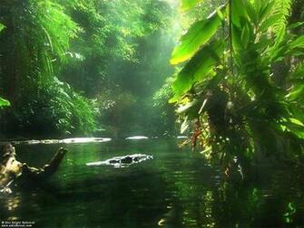 Wallpaper Amazing Nature Beautiful In HD
