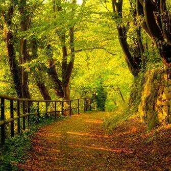 Autumn Countryside Road Picture For iPhone Blackberry iPad