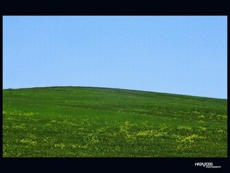 Windows Xp Bliss Wallpaper In Morocco By Hazardos