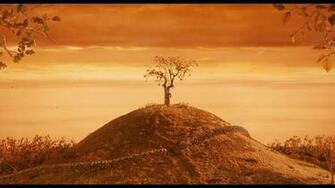 Du Cin Phile Stakhanoviste Fantastic Mr Fox Wes Anderson