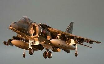 Harrier Wallpaper